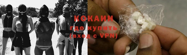 молекула духа Богородск