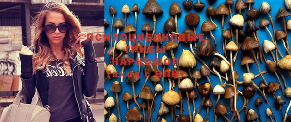каннабис Богданович