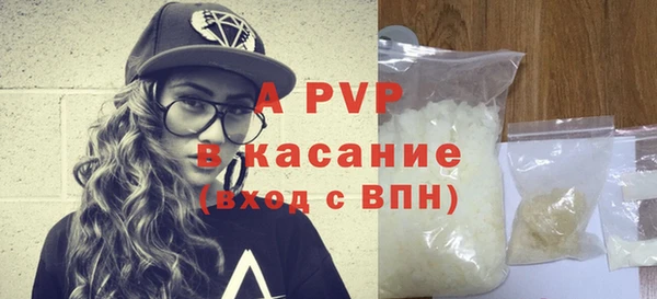 прущие грибы Богородицк