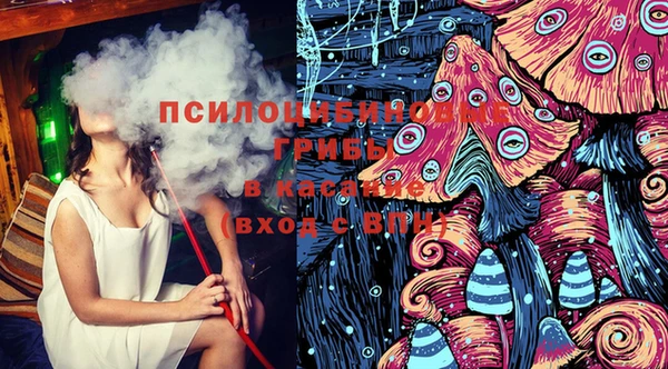 прущие грибы Богородицк